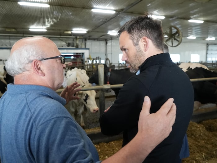 Paul St-Pierre Plamondon discute avec un homme devant des vaches.