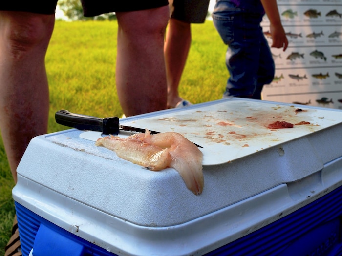 Un filet de poisson est sur une planche à découper.