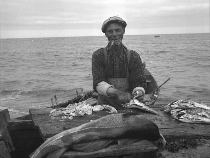 Un pêcheur prépare le poisson à Cloridorme en 1944.