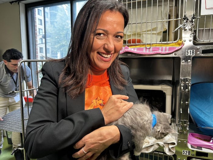 Ruba Ghazal, de Québec solidaire, en visite dans une SPCA.