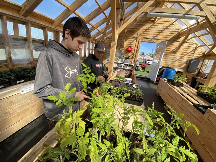 Yohan Comeau et Charles-Antoine Mourant, des élèves de l'école primaire Marguerite-Bourgeoys de Caraquet, manipulent quelques plants.