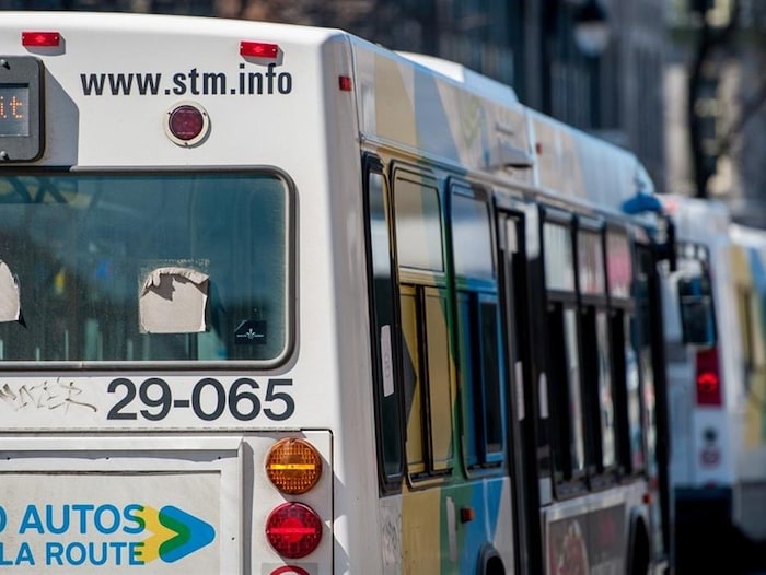 Des autobus de la Société de transport de Montréal stationnés.