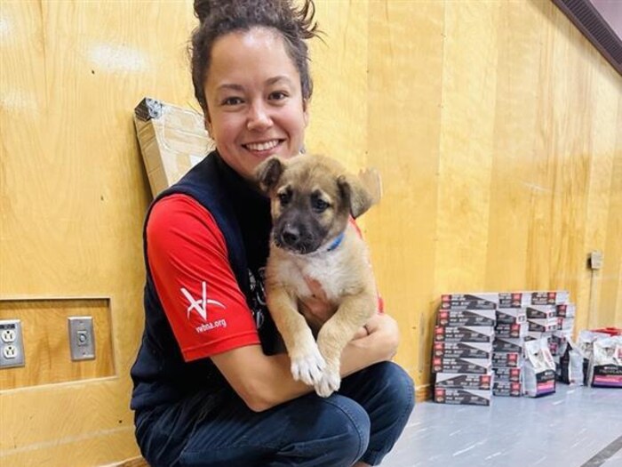 La Dre Michelle Tuma, vétérinaire, avec un chiot. 