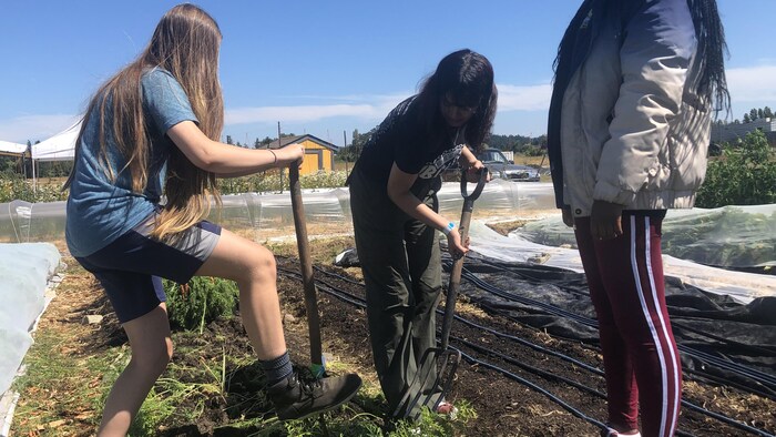 Trois jeunes filles travaillent la terre à l'aide d'une fourche.
