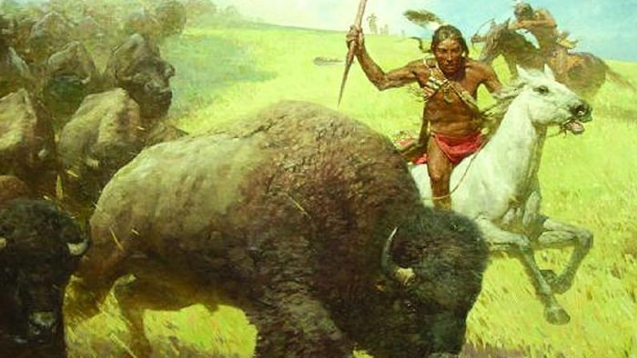 Des chasseurs sioux à cheval poursuivent un troupeau de bisons.