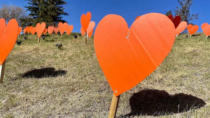 Un champ de coeurs orange.
