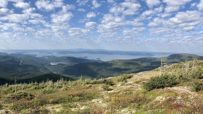 Une vue sur un lac depuis le haut d'une montagne.