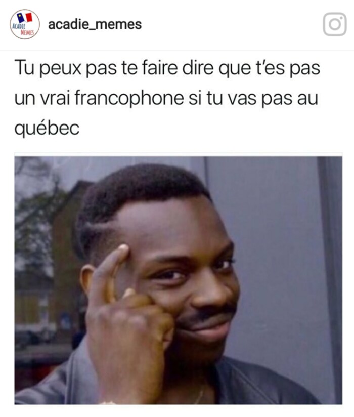 Un mème indique en grosse lettre : « Tu ne peux pas te faire dire que tu n'es pas un vrai francophone si tu ne vas pas au Québec ».