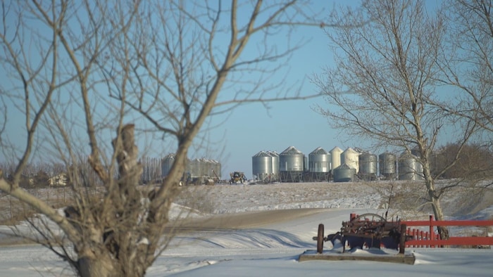 Au Québec, les producteurs agricoles possédaient en 2011 84 % des terres qu’ils exploitaient.