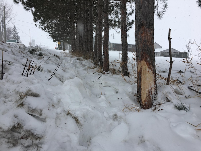 Accident de VTT mortel à TroisRivières RadioCanada