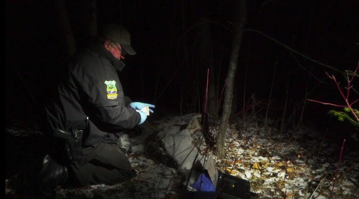 On voit un agent de la faune agenouillé près d'une carcasse, la nuit, éclairé par un projecteur. De la neige recouvre le sol.