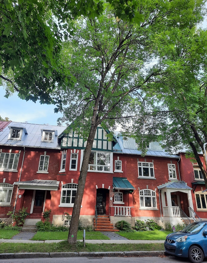 Le rond vert sur cet arbre de la rue du Parc indique qu’il a été traité à l’insecticide. Les arbres bientôt traités portent un rond blanc, et ceux à abattre, un carré rouge. 