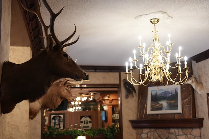 Des têtes d'animaux empaillés dans le hall de l'Hôtel Athabasca à Jasper, en Alberta.