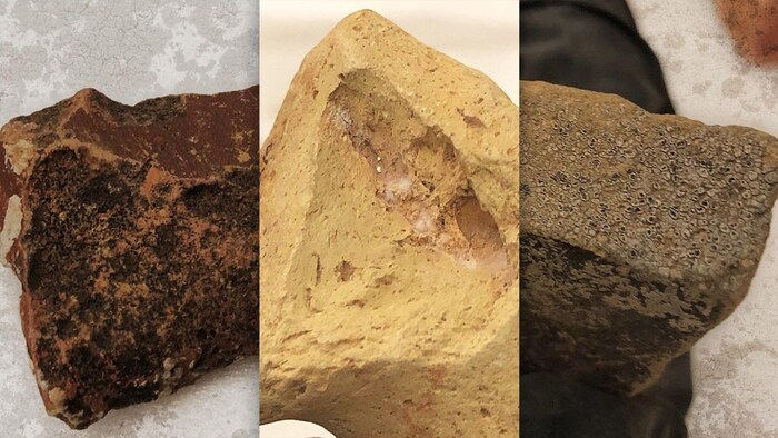 Trois artéfacts avec de la moisissures.