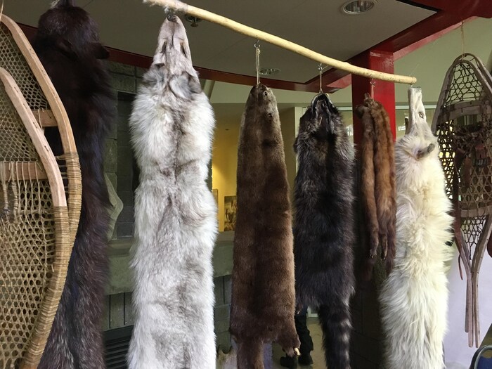 Plusieurs fourrures sont accrochées sur un bâton en bois.