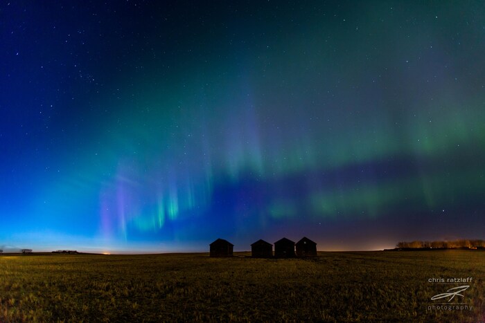Une photo d'aurore boréale en Alberta.