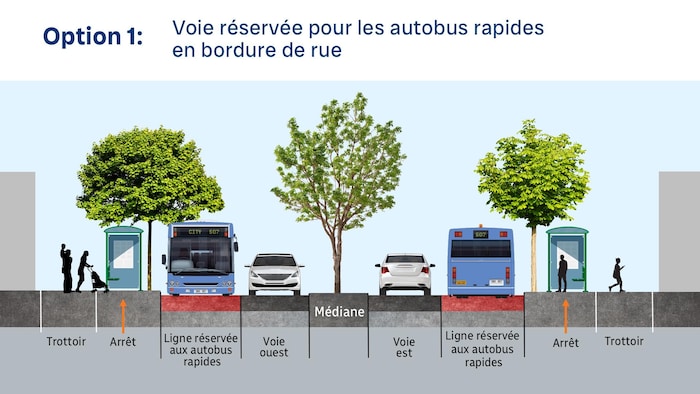 Image représentant les voies disponibles de gauche à droite. Trottoir gauche, arrêt de bus, ligne réservée aux autobus rapides, voie ouest, médiane, voie est, ligne réservée aux autobus rapides, arrêt, trottoir droit.