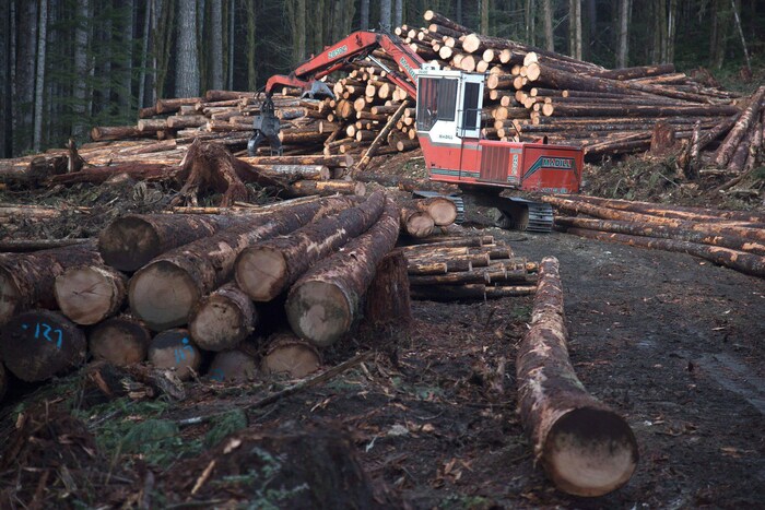 Photo d'ullistration de l'industrie forestière