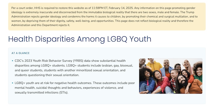 La page parle des disparités en santé chez les jeunes de la communauté LGBQ.