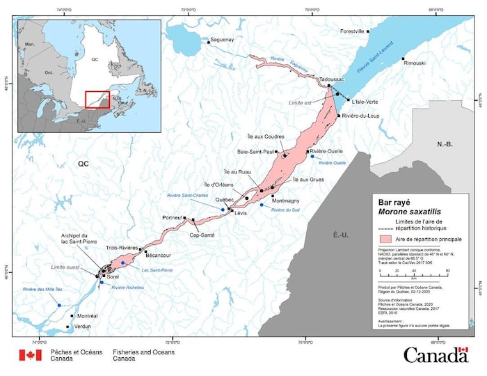 Une carte montrant l'aire de répartition connue du bar rayé du Saint-Laurent