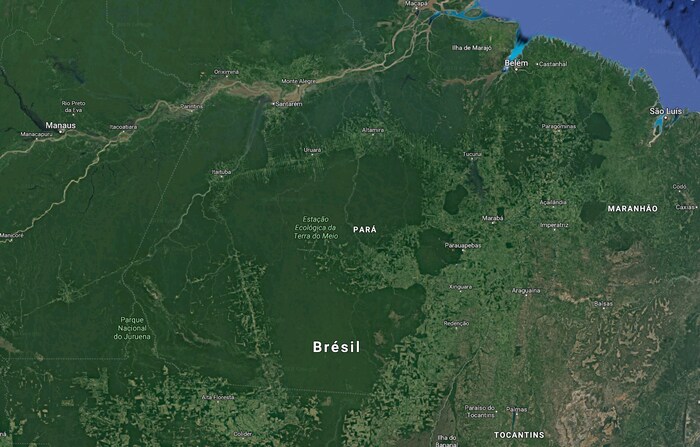 Une carte satellite de l'Amazonie