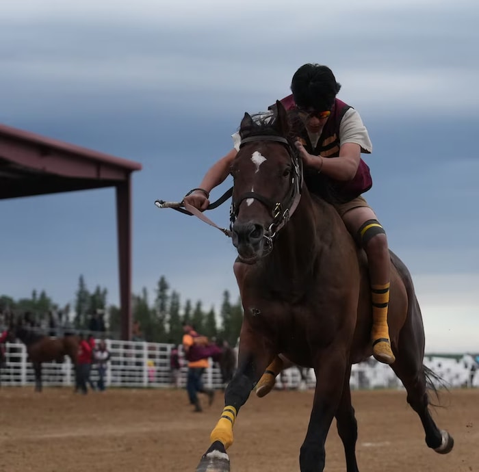 Une personne à dos d'un cheval de course.