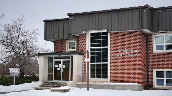 Le bâtiment abritant le centre de recherche agricole de Lacombe, en Alberta, en janvier 2026.