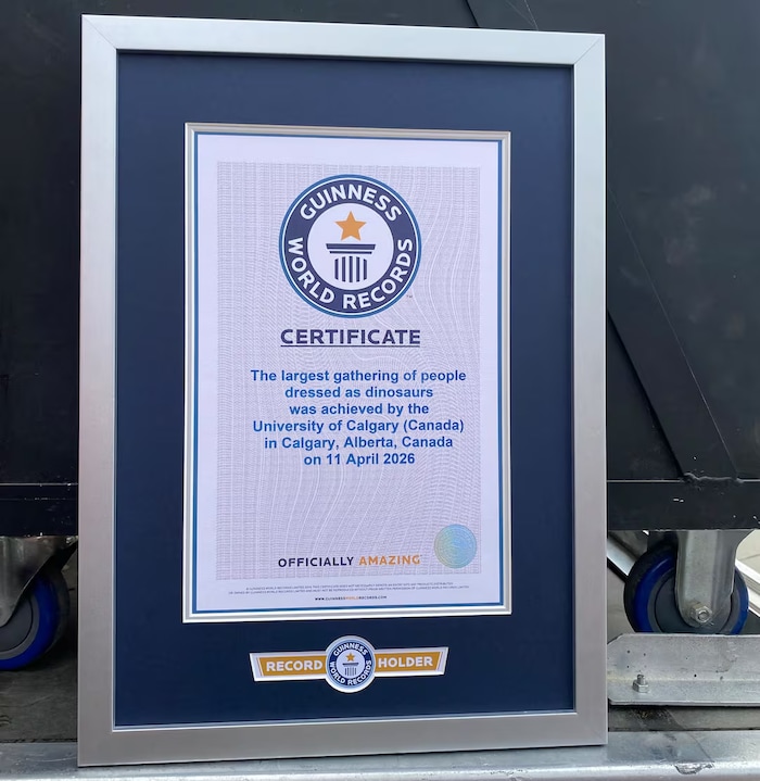 University of Calgary sets new record for people dressed as dinosaurs | Radio-Canada