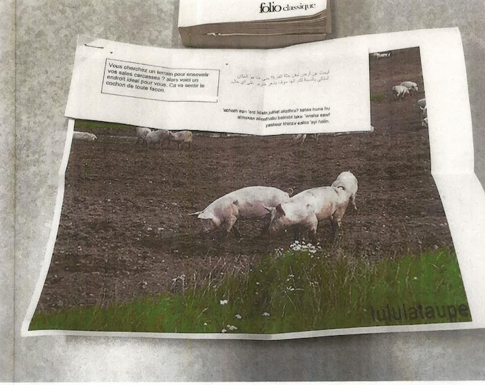 Deux cochons se promènent dans la boue. Un message haineux a été épinglé en haut de la photo.