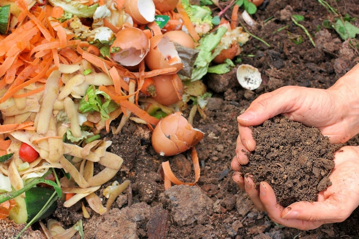 Un homme tient du compost dans ses mains.