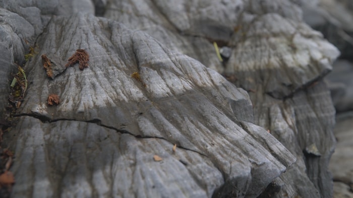 On voit en gros plan la formation rocheuse caractéristique, avec des plis formant une sorte de cône.