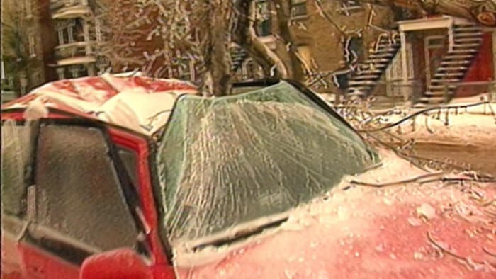 Une branche d'arbre cède sous le poids de la glace et transperce le toit d'une voiture dans une rue de Montréal.