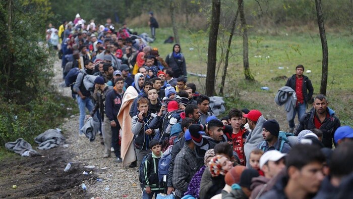 Des migrants franchissent la frontière entre la Croatie et la Hongrie afin d'atteindre l'Union européenne.