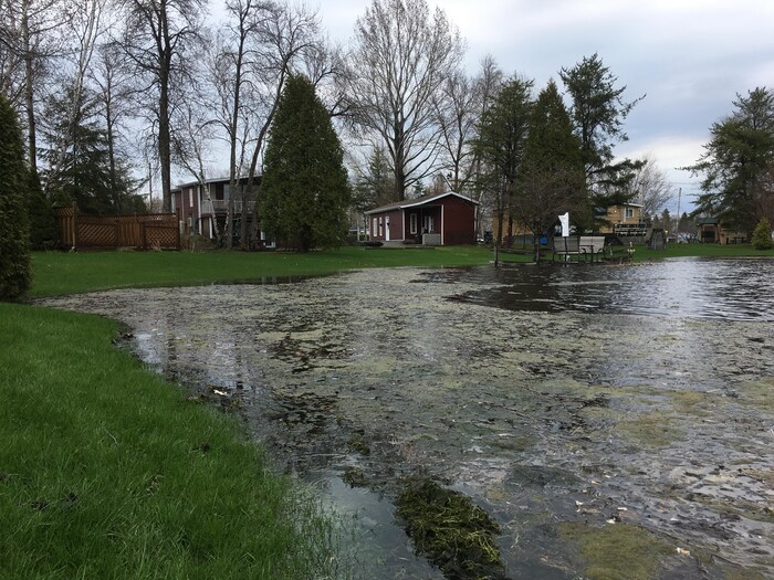 La Crue Exceptionnelle Du Lac Saint-Jean En Images | Inondations ...