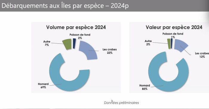 Débarquements aux Îles par espèce en 2024.