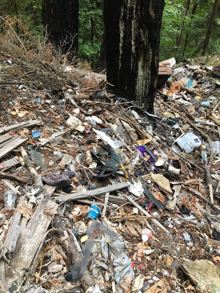 Un tapis de déchets constitué de gobelets, de récipients en plastique et de tissus couvre le sol de la forêt.