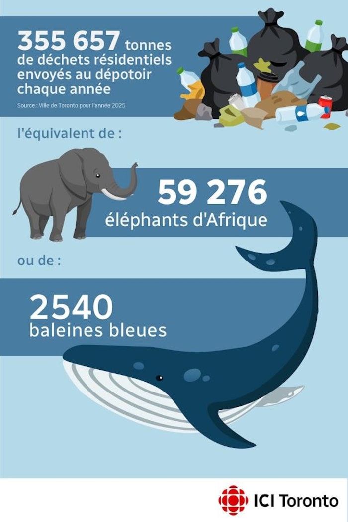 Infographie indiquant que la quantité de déchets produits par les Torontois chaque année est équivalente à plus de 59 000 éléphants et plus de 2500 baleines bleues.