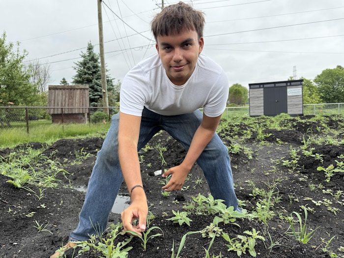 Hadishrayen Diego Gros-Louis pose dans un petit jardin.