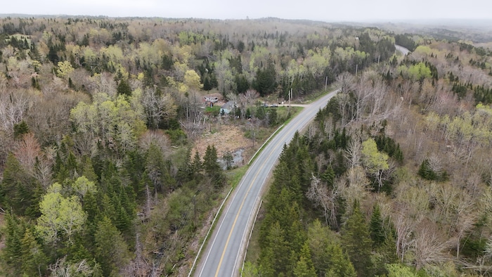 Une photo aérienne d'une maison entourée de conifères, près d'une route rurale à deux voies.