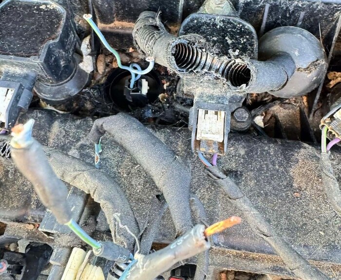 Des fils sectionnés et des pièces rongées à l'intérieur d'une Ford Escape.