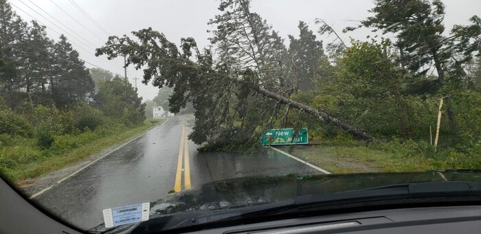 Un arbre tombé sur la route.