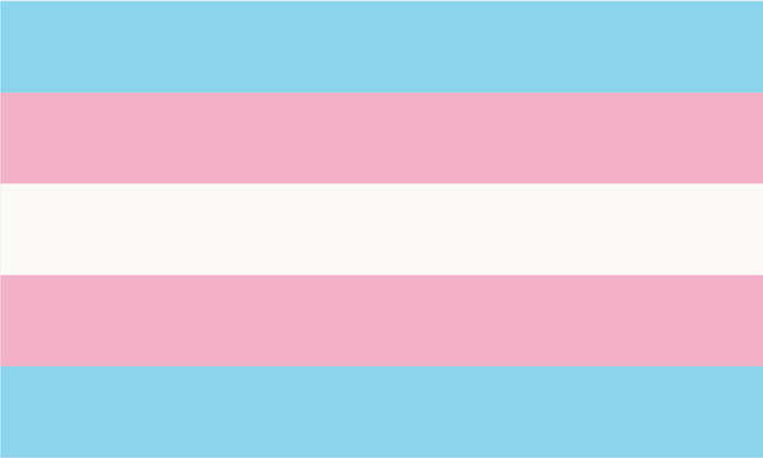 Bear', 'Lipstick', 'Gender fluid' : connaissez-vous tous les drapeaux de la  communauté LGBTQIA + et leurs significations ? 