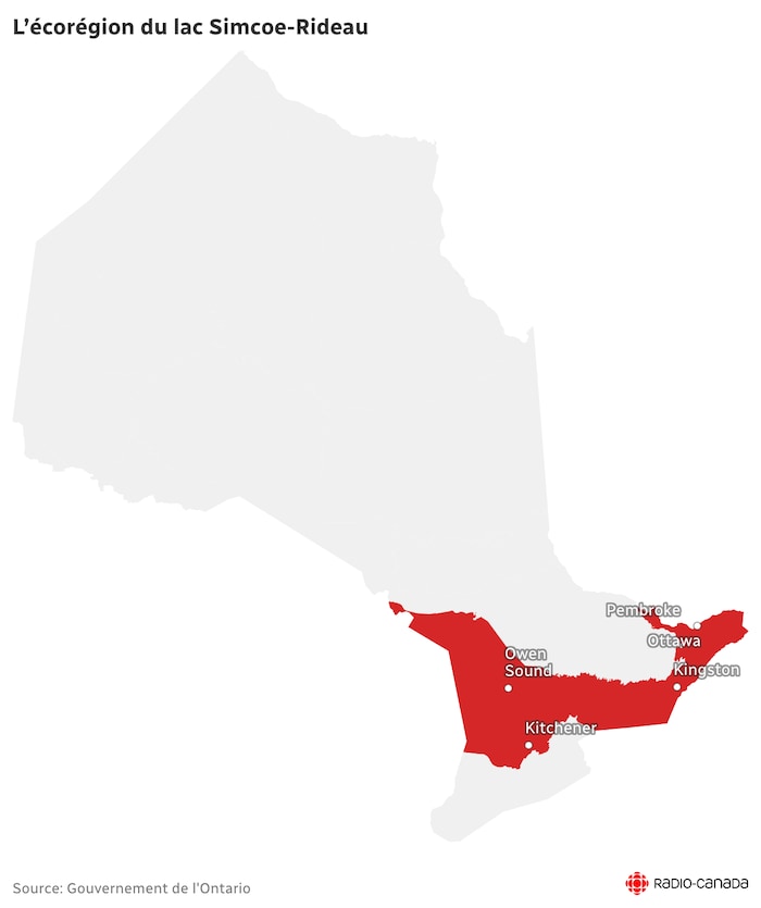 La carte montre l'étendue de l’écorégion du lac Simcoe-Rideau, qui couvre 63 000 km2, dont les villes de Pembroke, Ottawa, Kingston, Kitchener-Waterloo et Owen Sound.