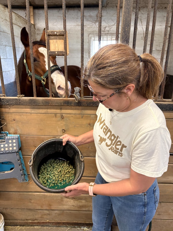 Guylaine Beaudoin devant l'enclos intérieur de son cheval Smarties, montrant les médicaments qu'elle lui donnera pour soulager ses allergies.