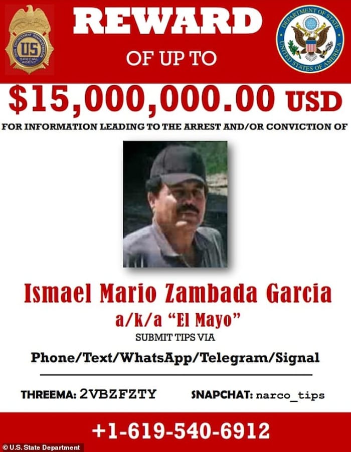 Une affiche de recherche d'« El Mayo »