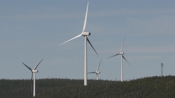 Parc éolien en Gaspésie