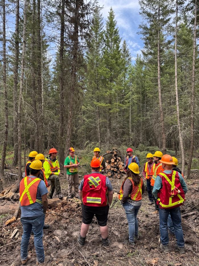 Des personnes vêtues de gilets fluorescents et de casques de sécurité vissés sur la tête font un cercle dans une forêt.