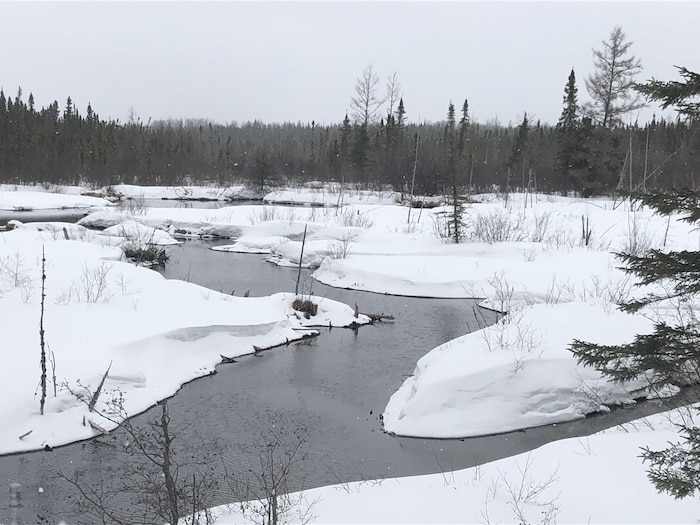 Un ruisseau entouré de neige et de sapins. De petits flocons de neige tombent du ciel.