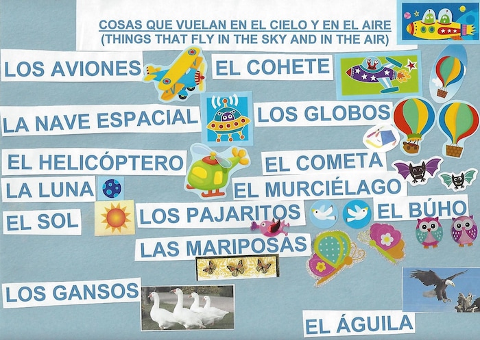 Un tableau présentant du matériel éducatif en espagnol pour les enfants. 