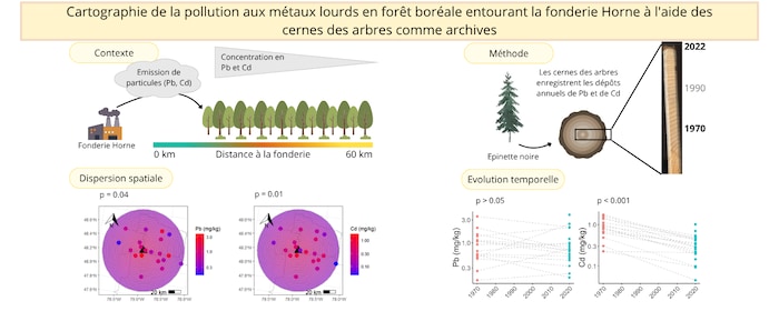 Un graphique avec des dessins.